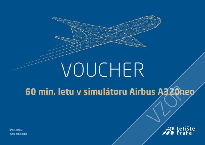 Airbus A320neo - Délka zážitku: 60 minut